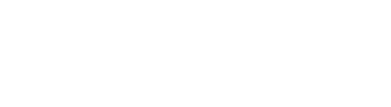 NGN IT Solutions - logo